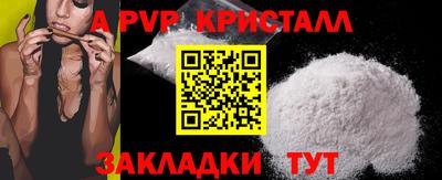 твердый Бийск
