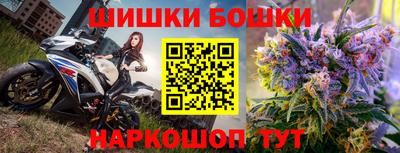 твердый Бийск