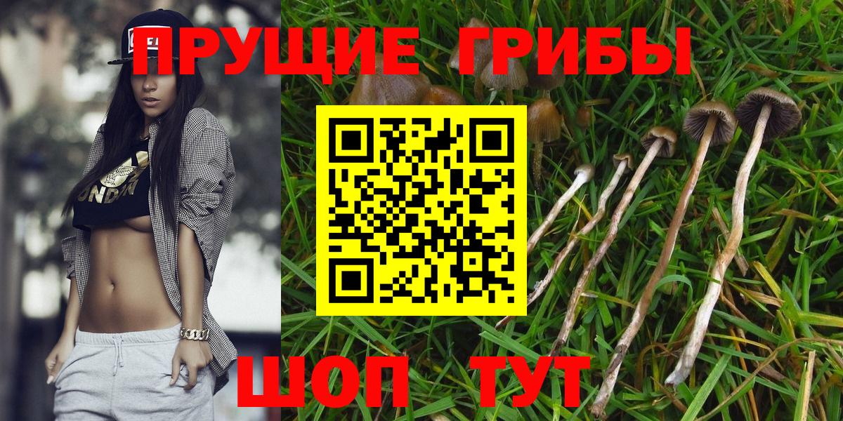 Псилоцибиновые грибы Magic Shrooms  Галлюциногенные грибы Magic Shrooms  Вход с VPN  Камышин 