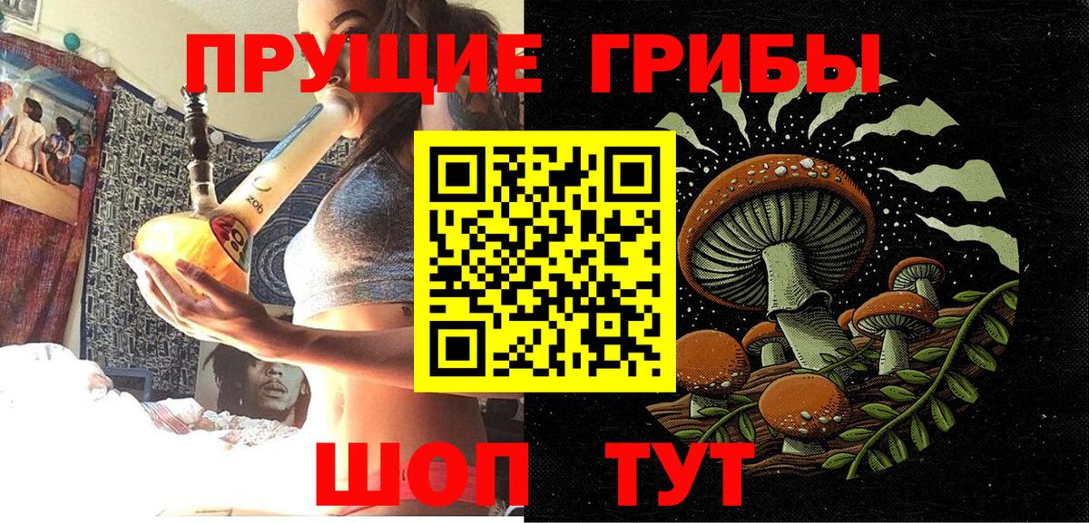 Галлюциногенные грибы мухоморы Камышин