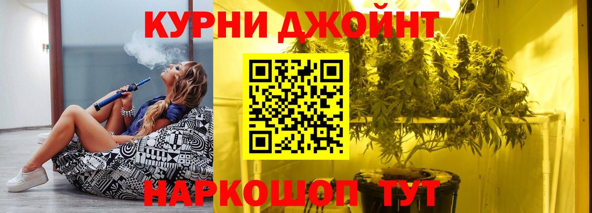 Камышин  Конопля ГИДРОПОН  Каннабис SATIVA & INDICA  Вход с VPN 